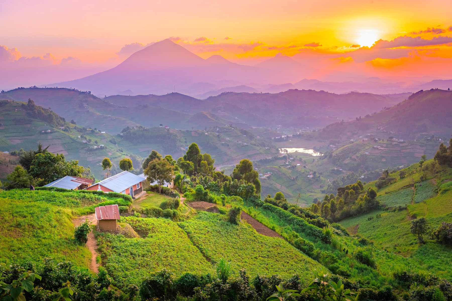 Hills and farms in Uganda. 