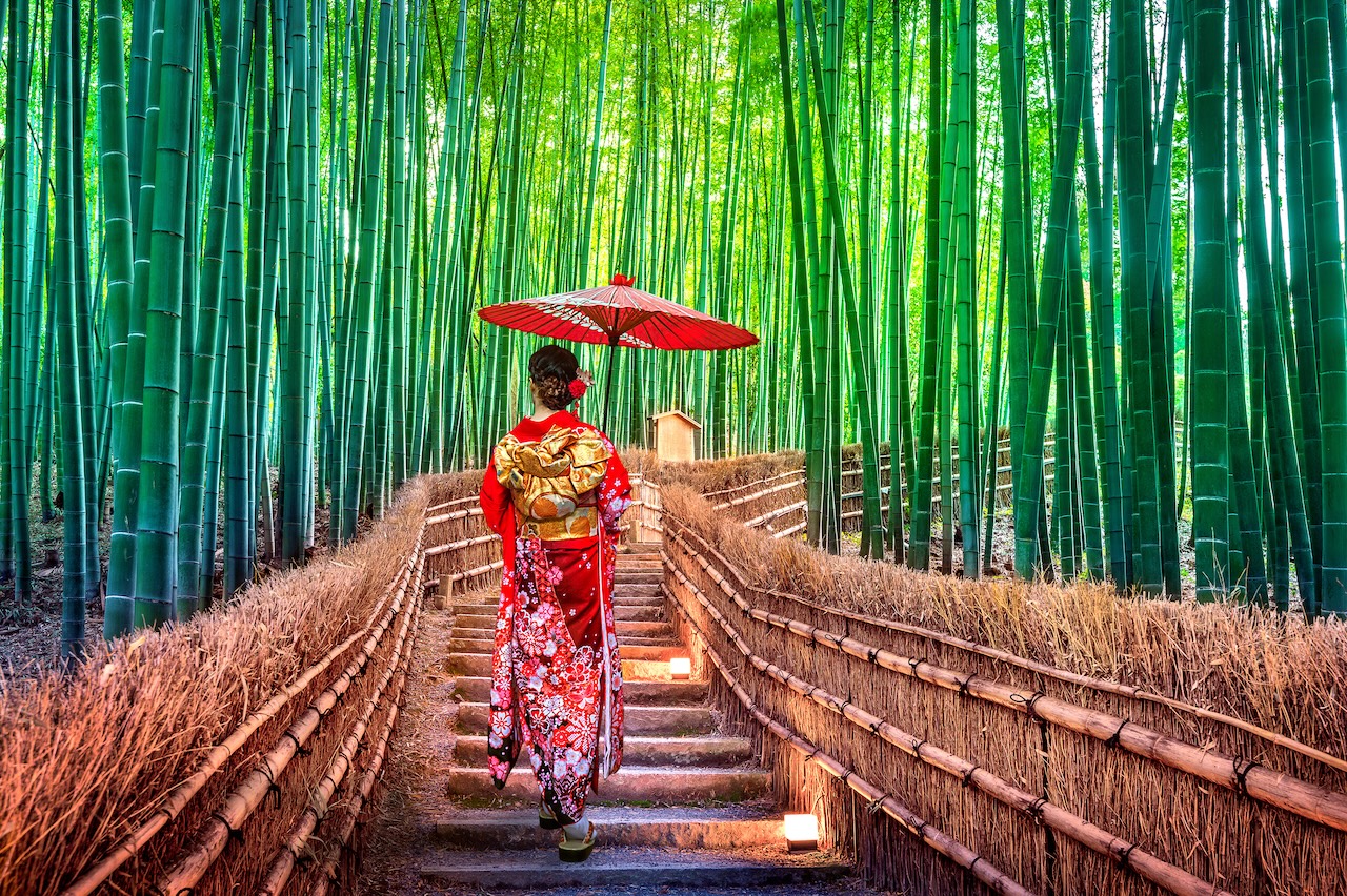 Bamboo Forest, Kyoto, Japan.