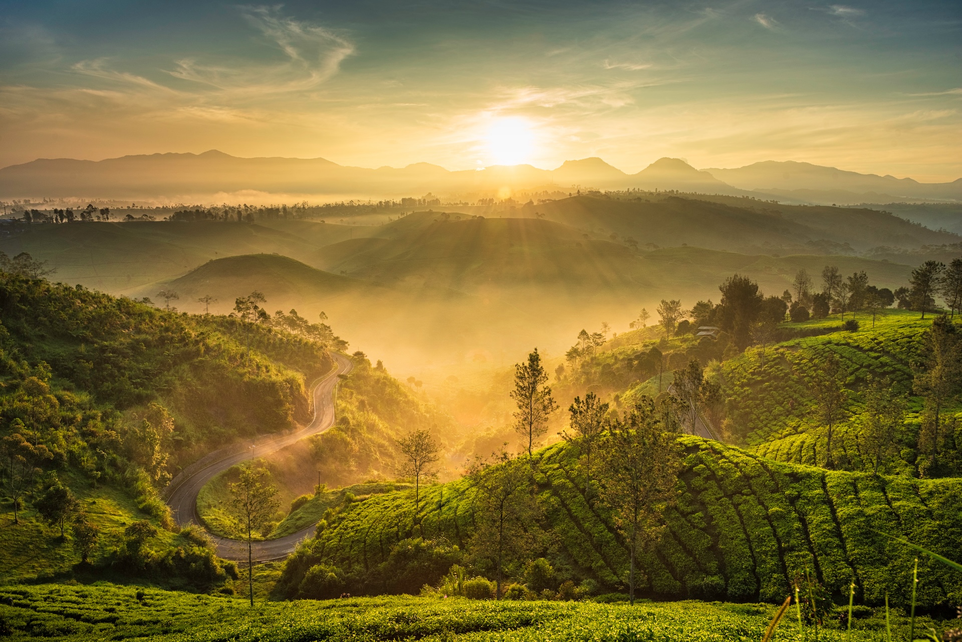 Cukul Tea Garden, Bandung, Indonesia.