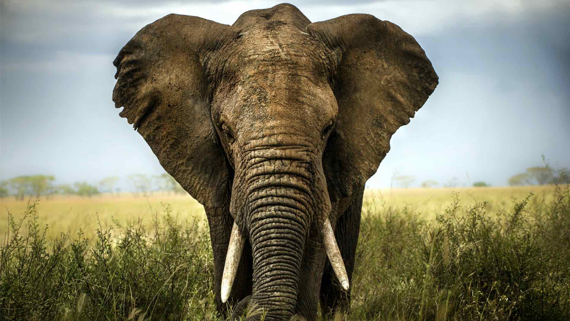 Explore Kenya