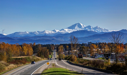 all colours on sides of road to Mt. Baker