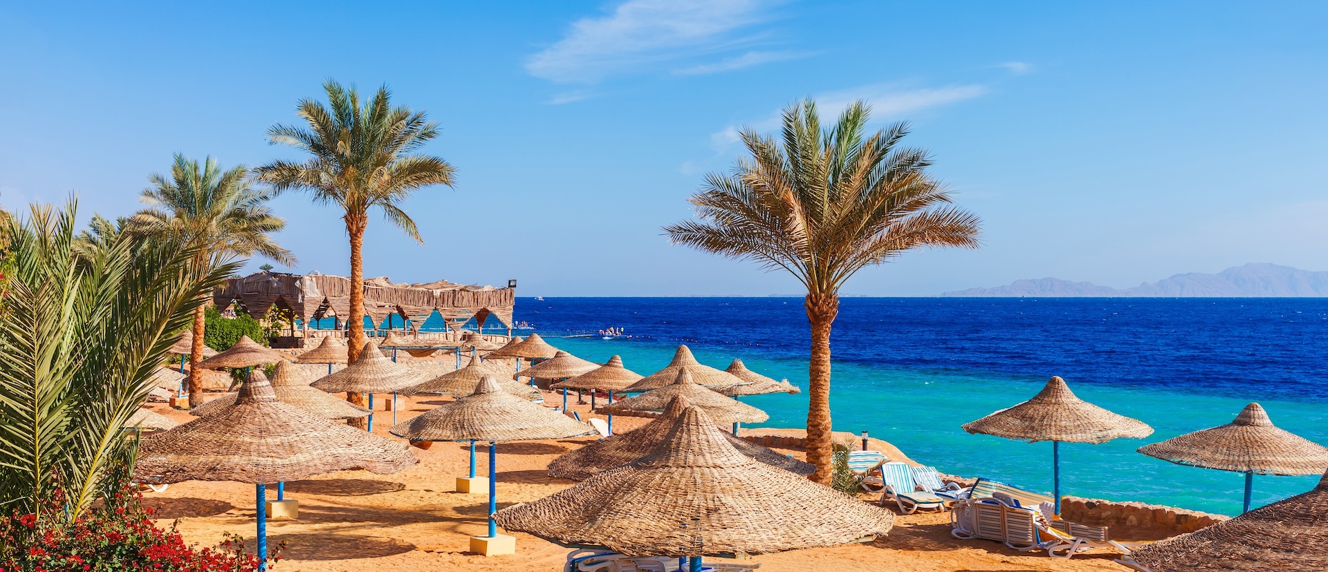  Red Sea in Sharm el Sheikh.