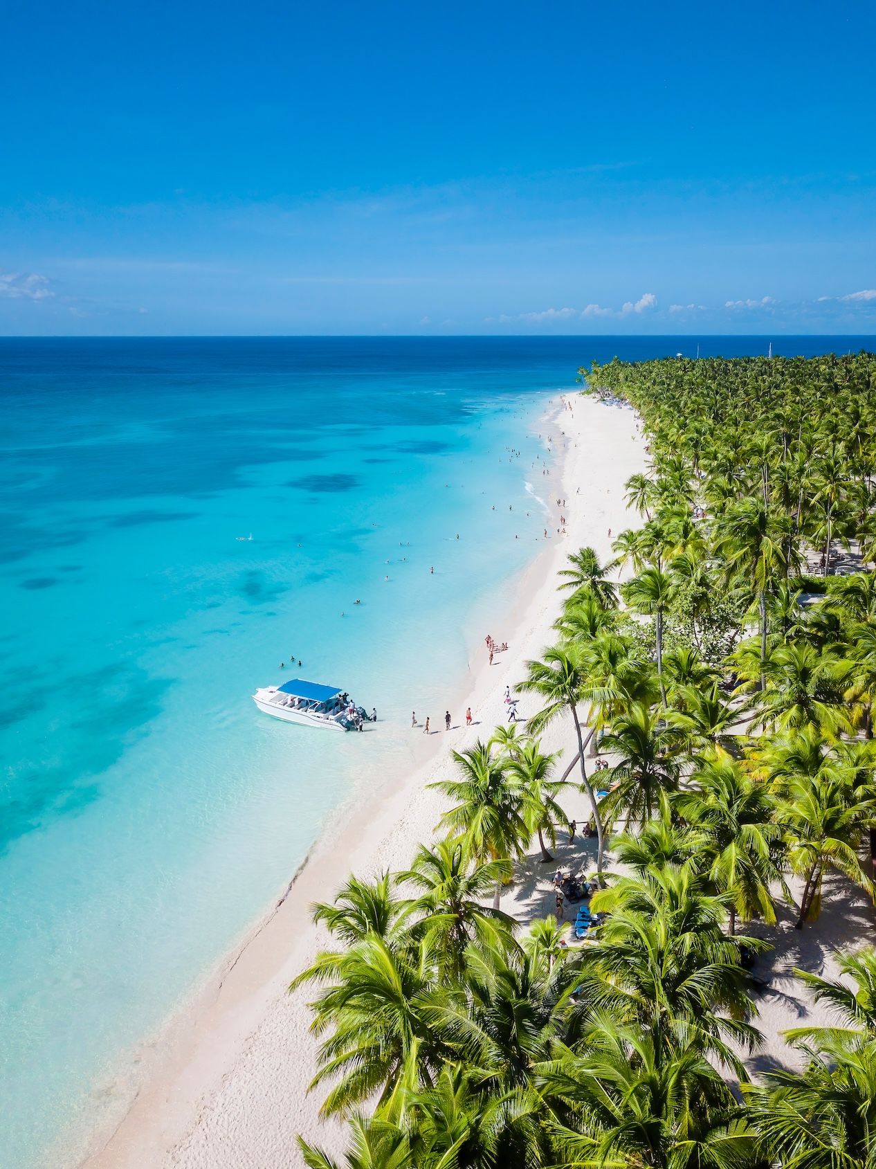 Saona Island in Dominican Republic.