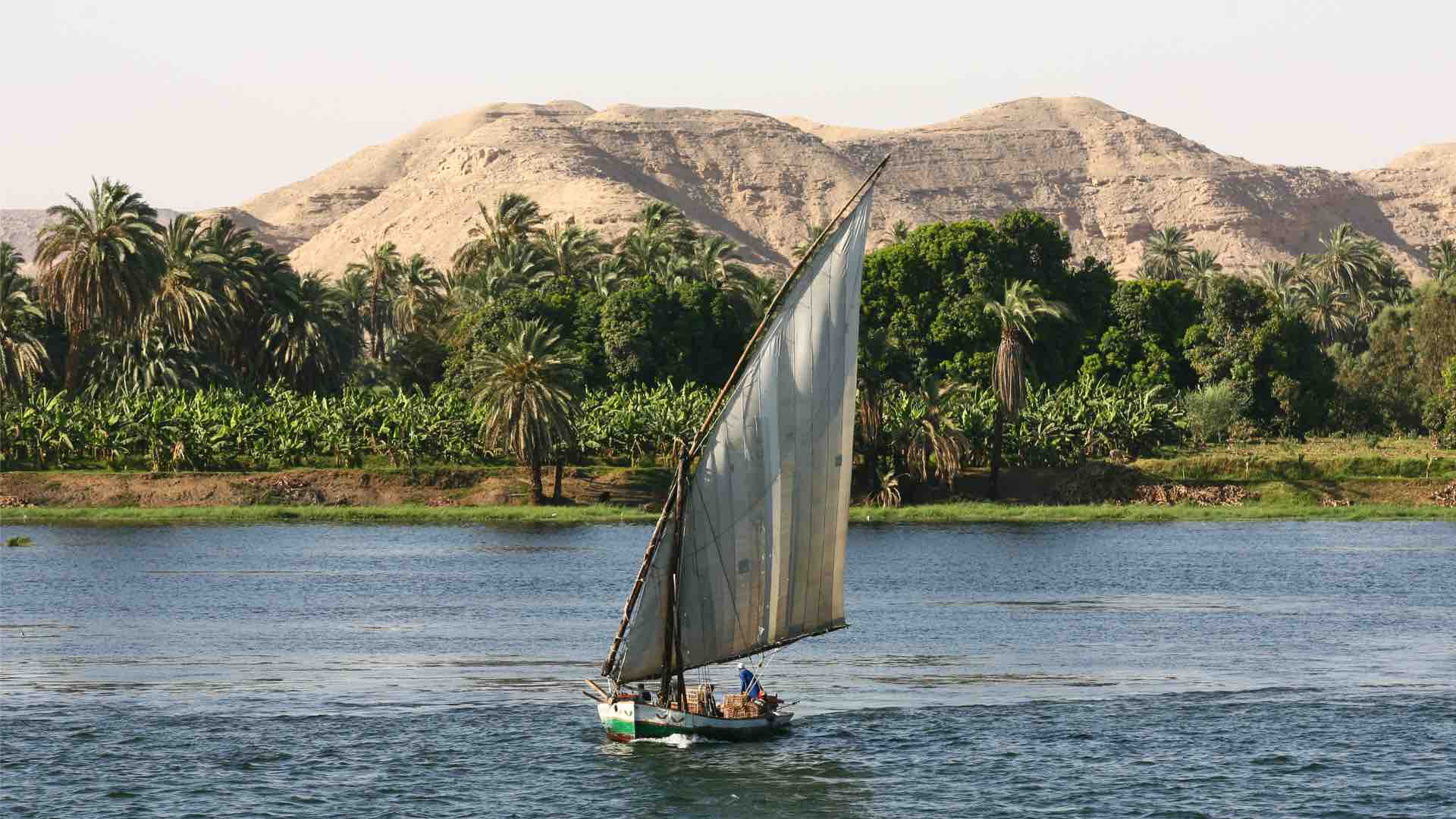 Experience CAIRO !