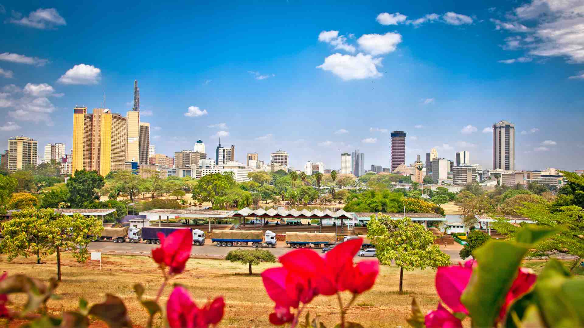 A city with so much adventure!