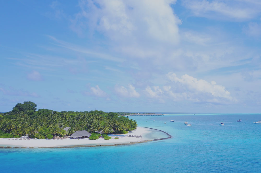 Extraordinary island life