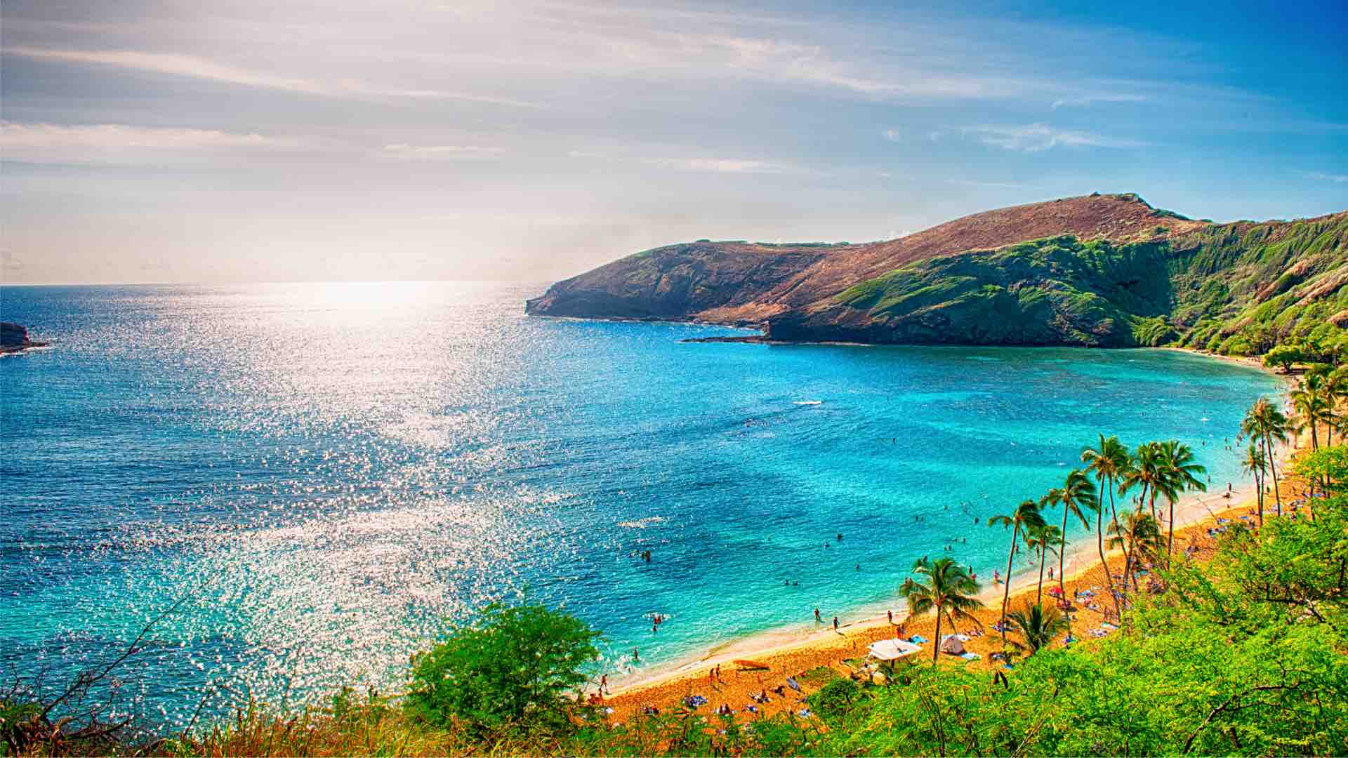 Aloha!